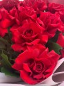 Моно-Букеты № 17 (25 роз) - Жарден. Оптово-розничные продажи цветов и растений в Уральском регионе.