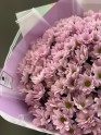 Моно-Букеты № 49 (25 кустовых хризантем) - Жарден. Оптово-розничные продажи цветов и растений в Уральском регионе.