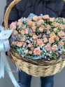 Композиция №190 - Жарден. Оптово-розничные продажи цветов и растений в Уральском регионе.