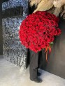  Моно-Букеты № 53 (101 роза) - Жарден. Оптово-розничные продажи цветов и растений в Уральском регионе.