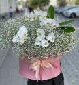  композиция №419 - Жарден. Оптово-розничные продажи цветов и растений в Уральском регионе.
