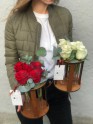 Композиция JCorp60 - Жарден. Оптово-розничные продажи цветов и растений в Уральском регионе.