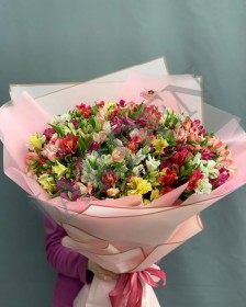Букет № 1553 (51 альстромерий) - Жарден. Оптово-розничные продажи цветов и растений в Уральском регионе.