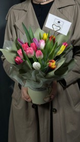 Композиция из 15 тюльпанов - Жарден. Оптово-розничные продажи цветов и растений в Уральском регионе.