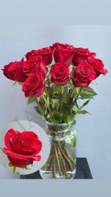 Розы Эквадор - Жарден. Оптово-розничные продажи цветов и растений в Уральском регионе.